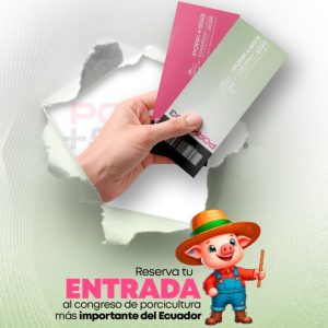 Entradas